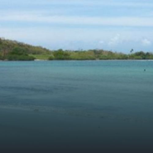 El Caribe sus Playas y Naturaleza